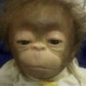 Meet your Posher, Marcus